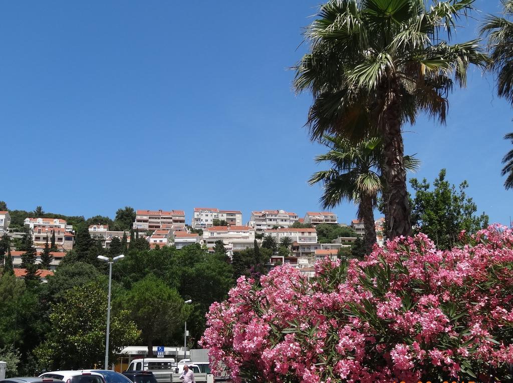 Apartments Roko Dubrovnik Exteriör bild